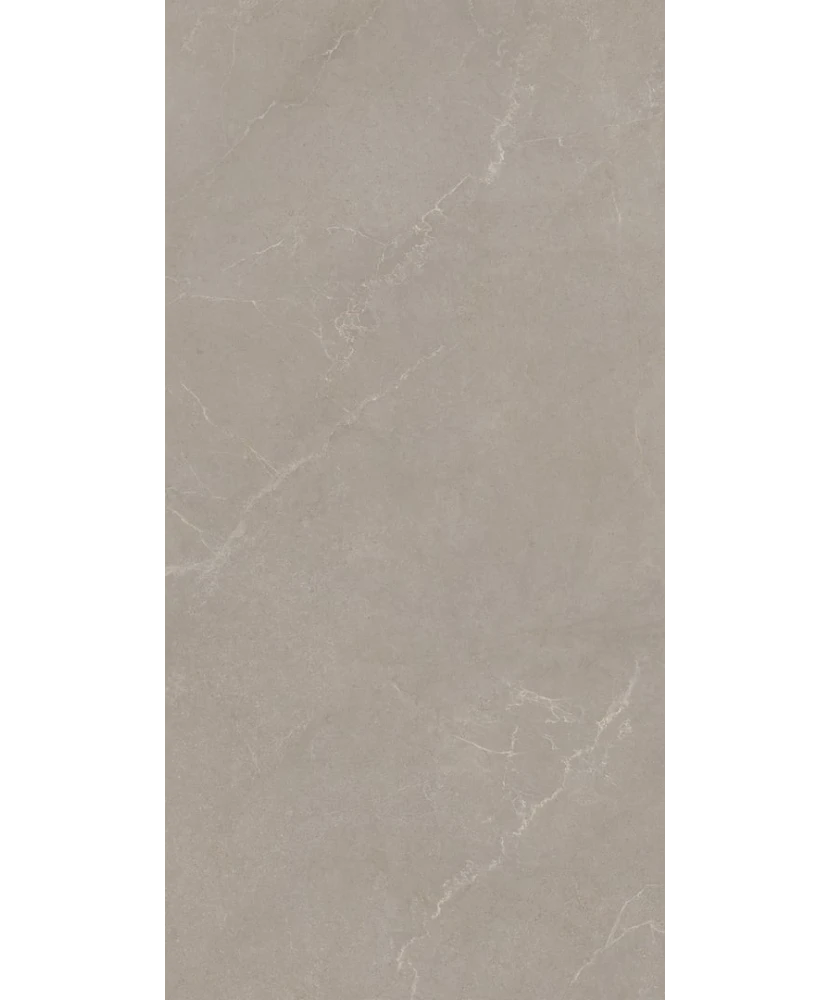 Carrelage 60x120 Noble Stone Taupe Nat Rectifié - détail du carreau