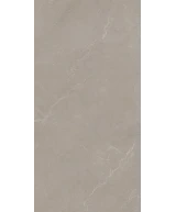 Carrelage 60x120 Noble Stone Taupe Nat Rectifié - détail du carreau