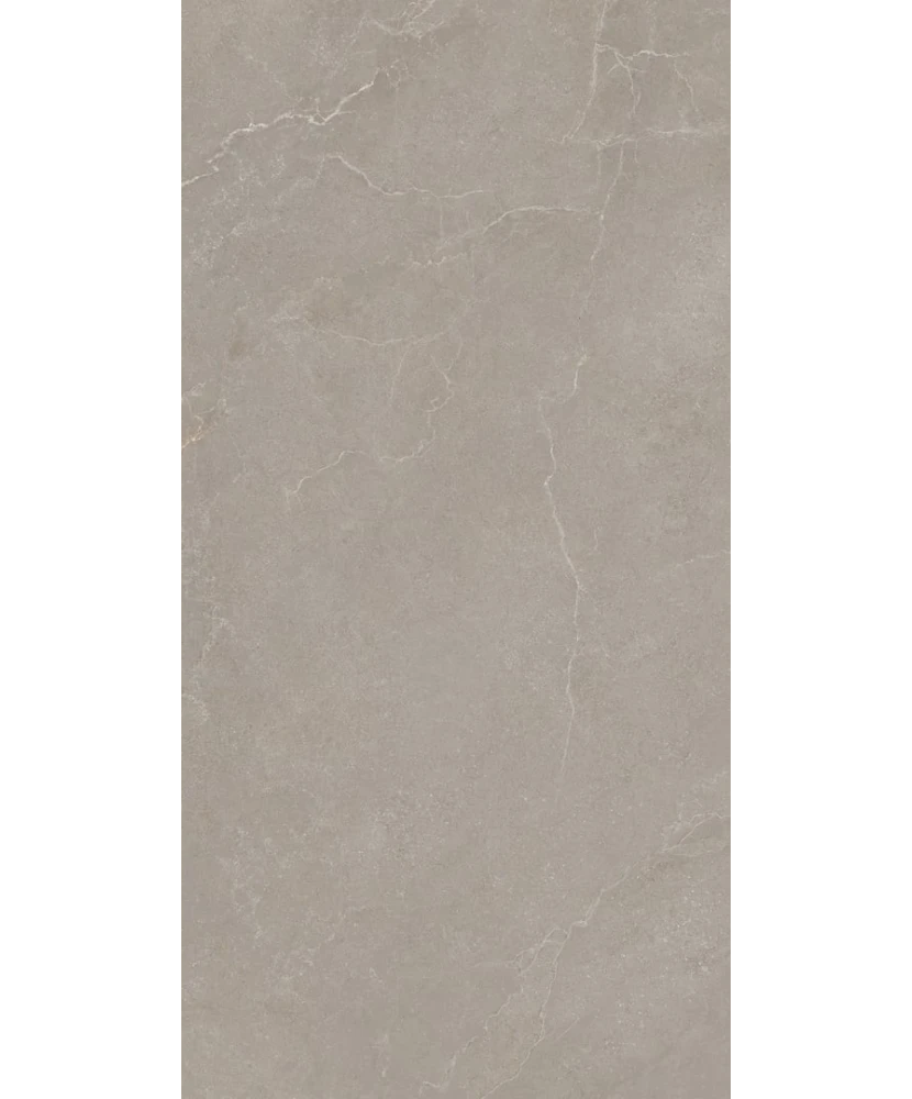Carrelage 60x120 Noble Stone Taupe Nat Rectifié - détail du carreau 2