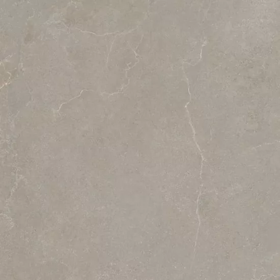 Carrelage 60x120 Noble Stone Taupe Nat Rectifié - détail du carreau 2