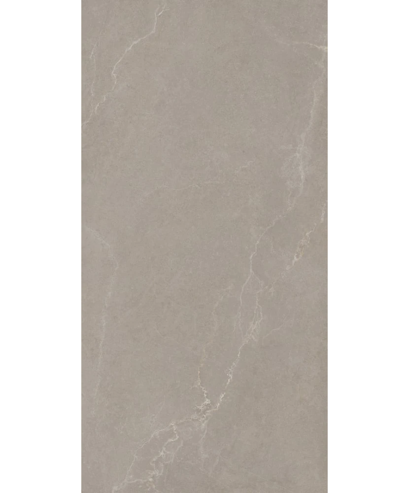 Carrelage 60x120 Noble Stone Taupe Nat Rectifié - détail du carreau 3
