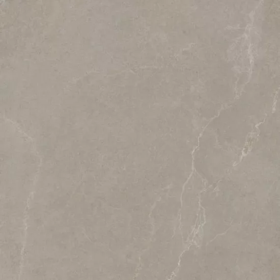 Carrelage 60x120 Noble Stone Taupe Nat Rectifié - détail du carreau 3