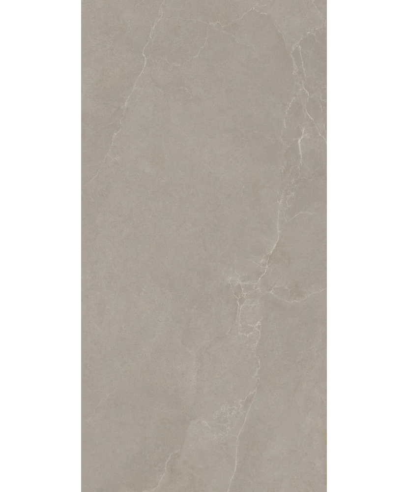 Carrelage 60x120 Noble Stone Taupe Nat Rectifié - détail du carreau 4