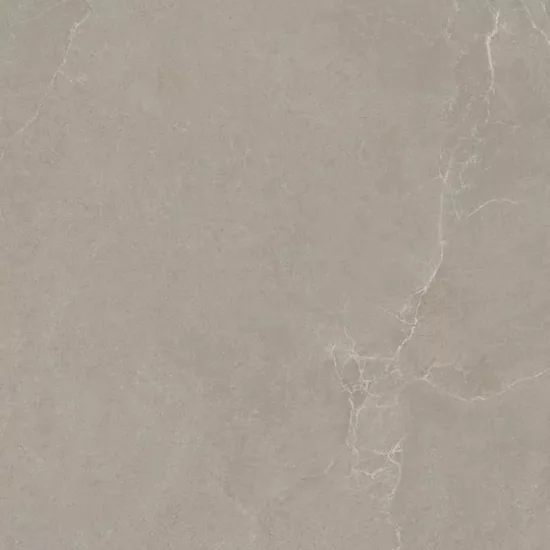 Carrelage 60x120 Noble Stone Taupe Nat Rectifié - détail du carreau 4