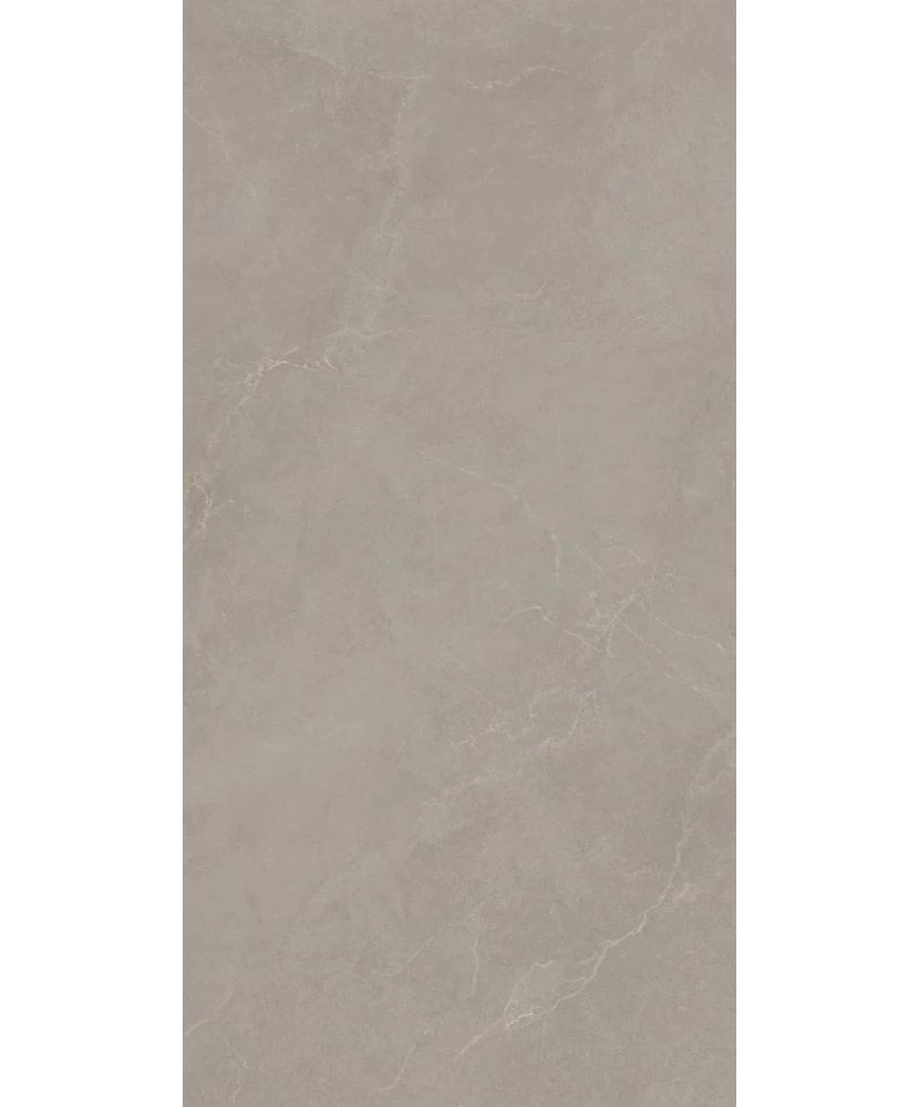 Carrelage 60x120 Noble Stone Taupe Nat Rectifié - détail du carreau 5