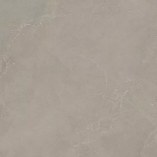 Carrelage 60x120 Noble Stone Taupe Nat Rectifié - détail du carreau 5