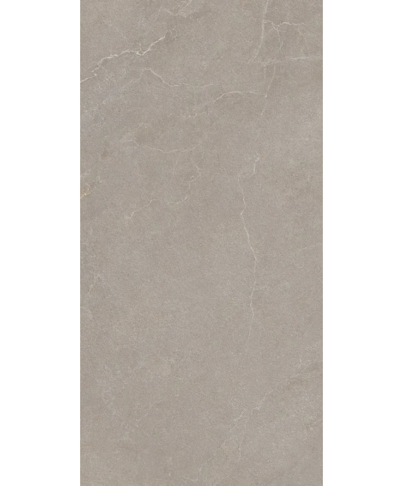 Carrelage 60x120 Noble Stone Taupe Nat Rectifié R11 - détail du carreau 2