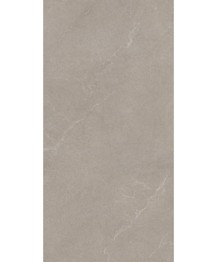 Carrelage 60x120 Noble Stone Taupe Nat Rectifié R11 - détail du carreau 3
