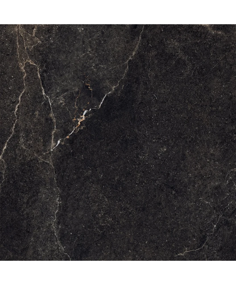 Carrelage 60x60 Noble Stone Dark Nat Rectifié - détail du carreau