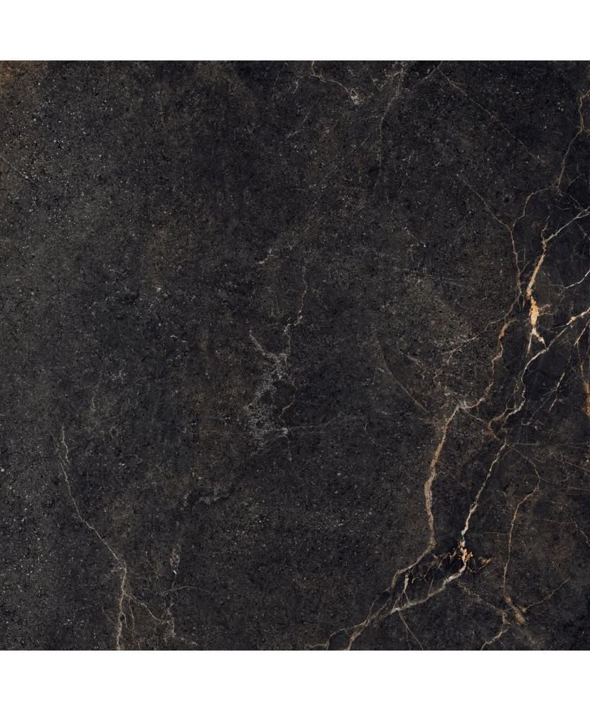 Carrelage 60x60 Noble Stone Dark Nat Rectifié - détail du carreau 4