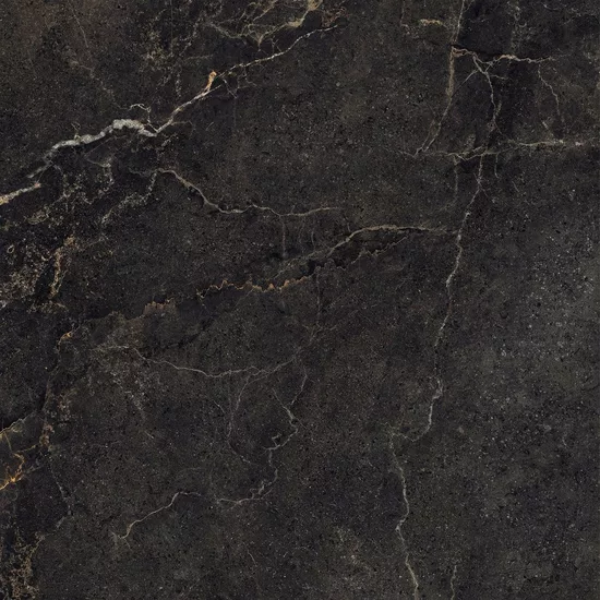 Carrelage 60x60 Noble Stone Dark Nat Rectifié - détail du carreau 5