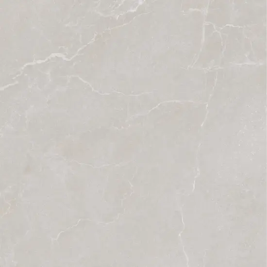 60x60 NOBLE STONE GREY NAT RET - carrelage NAIS