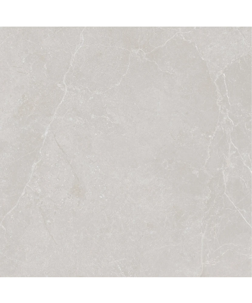 Carrelage 60x60 Noble Stone Grey Nat Rectifié - détail du carreau 5