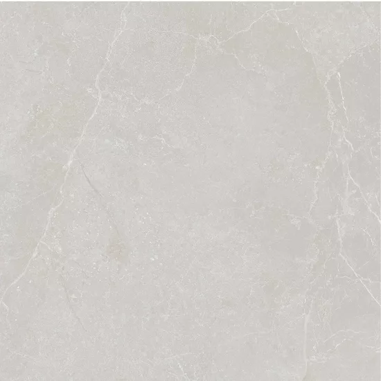 Carrelage 60x60 Noble Stone Grey Nat Rectifié - détail du carreau 5