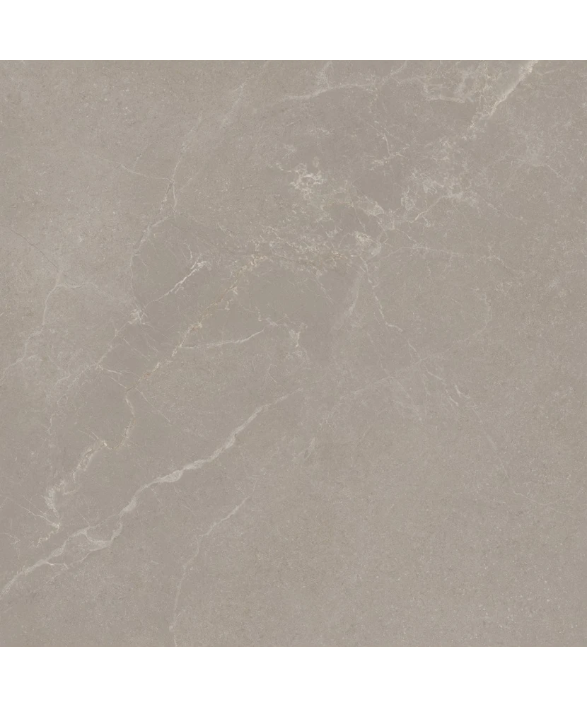 Carrelage 60x60 Noble Stone Taupe Nat Rectifié - détail du carreau