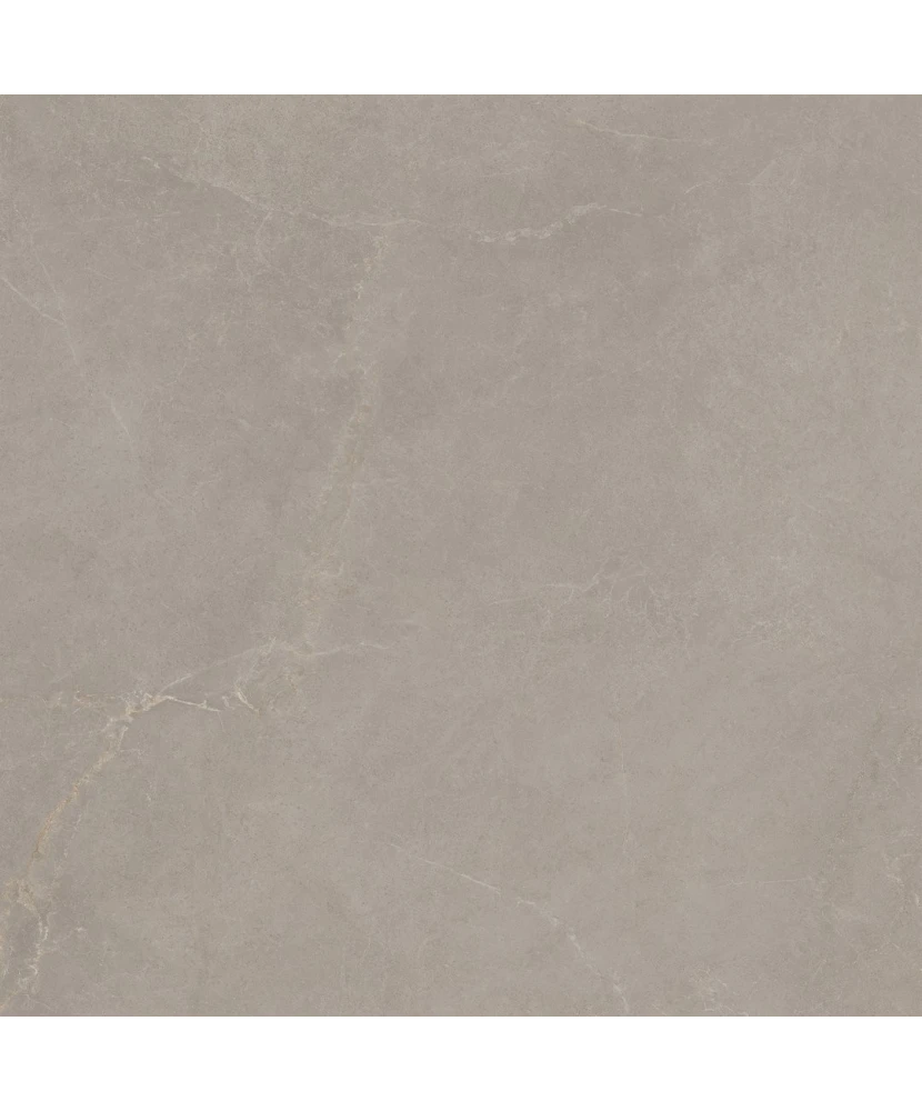 Carrelage 60x60 Noble Stone Taupe Nat Rectifié - détail du carreau 2