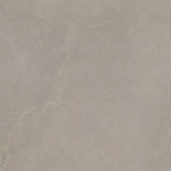 Carrelage 60x60 Noble Stone Taupe Nat Rectifié - détail du carreau 2