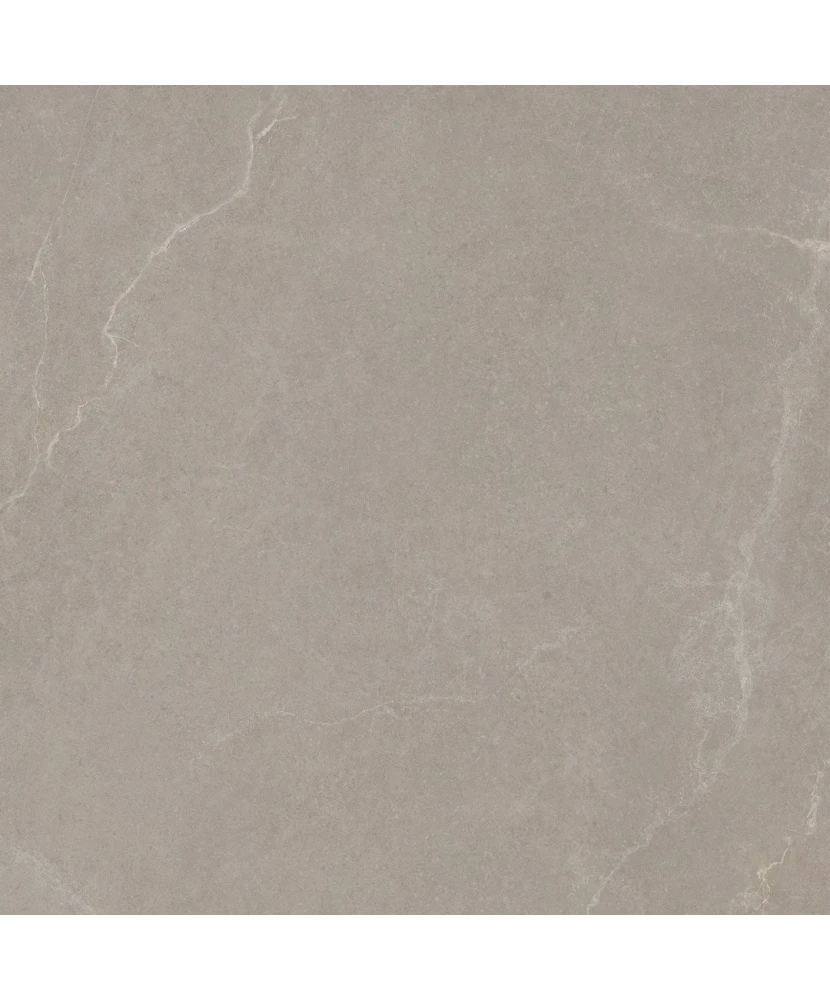 Carrelage 60x60 Noble Stone Taupe Nat Rectifié - détail du carreau 3