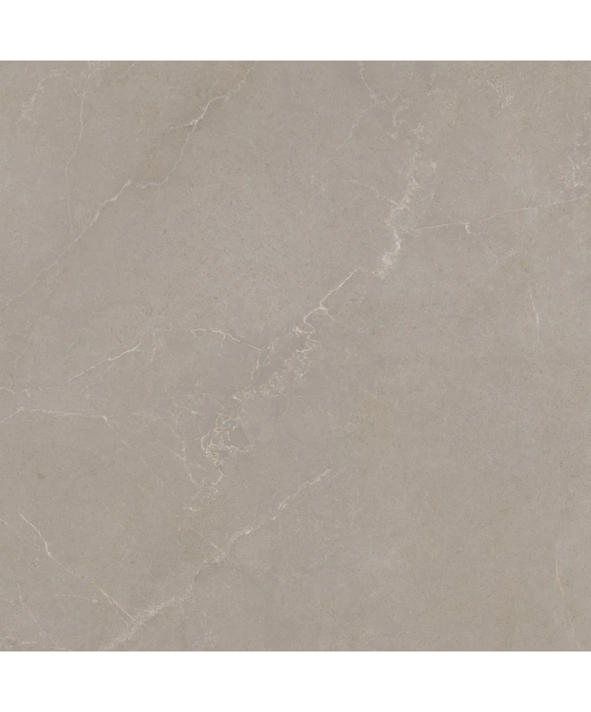 Carrelage 60x60 Noble Stone Taupe Nat Rectifié - détail du carreau 4