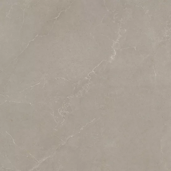 Carrelage 60x60 Noble Stone Taupe Nat Rectifié - détail du carreau 4