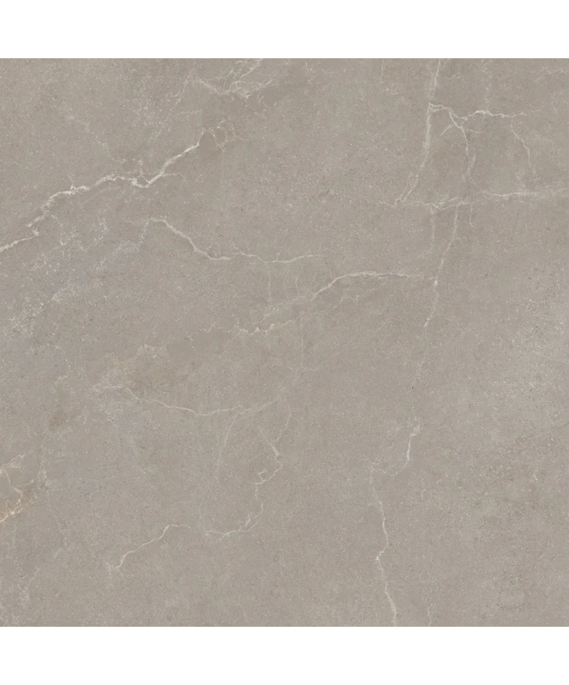 Carrelage 60x60 Noble Stone Taupe Nat Rectifié - détail du carreau 5