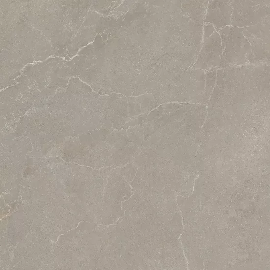Carrelage 60x60 Noble Stone Taupe Nat Rectifié - détail du carreau 5