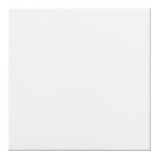 20x20 BIANCO - carrelage CESI