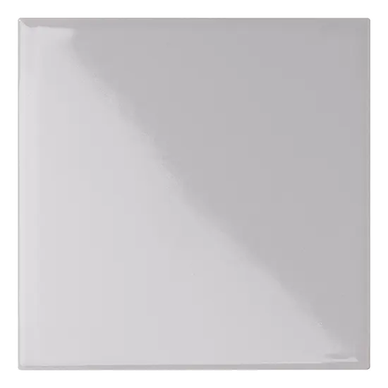 10x10 SALGEMMA