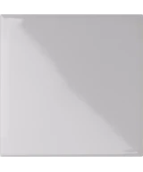 10x10 SALGEMMA