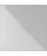 20x20 SALGEMMA