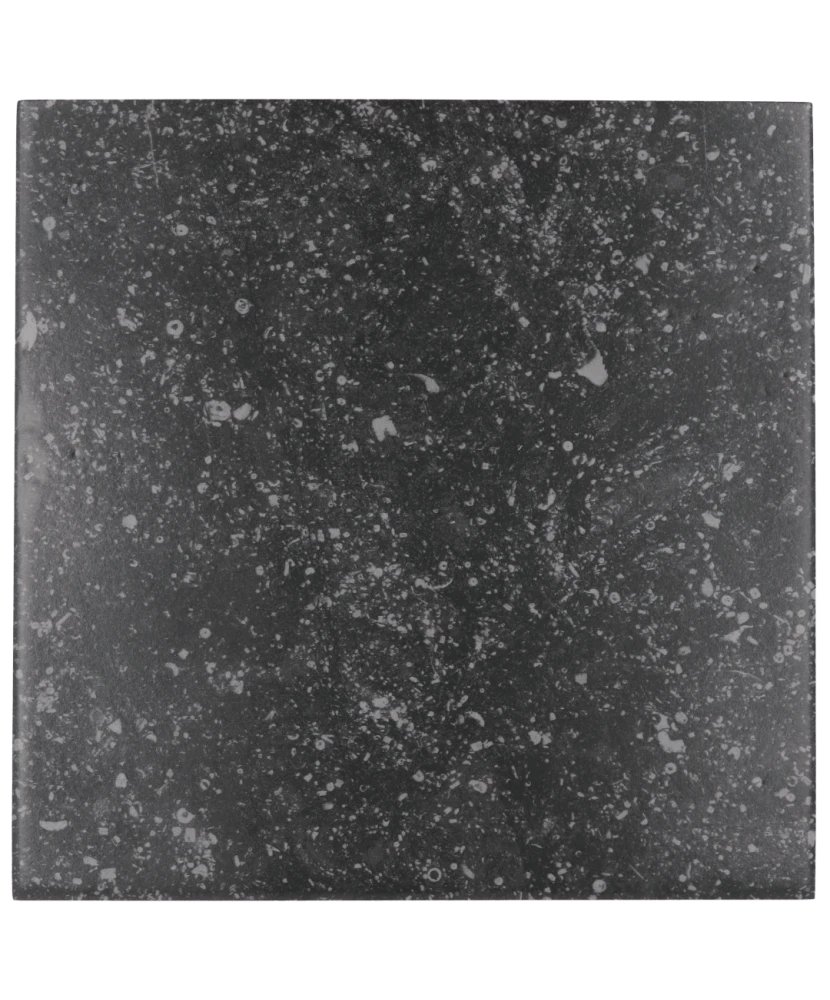 Carrelage Coralstone Black 20x20 cm - vue de face du carreau