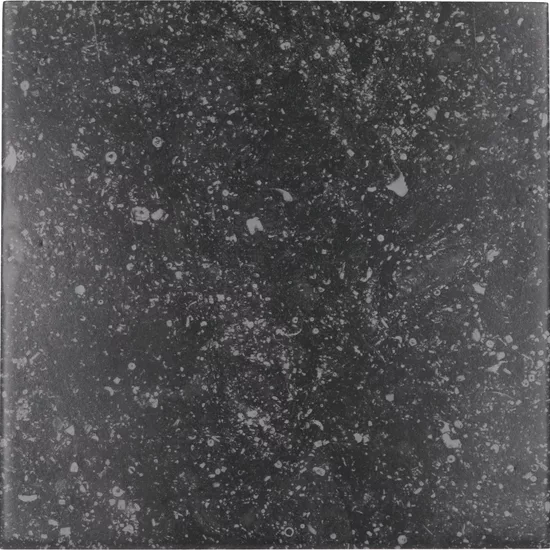 Carrelage Coralstone Black 20x20 cm - vue de face du carreau