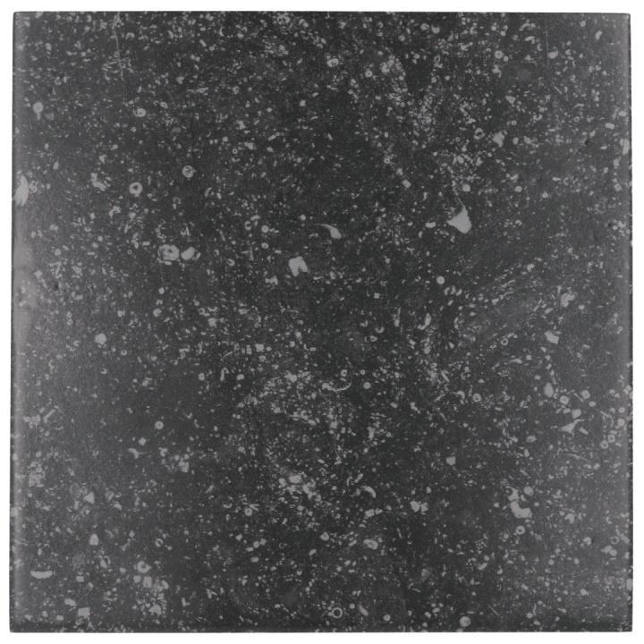 Coralstone Black 20x20 cm - carrelage NAIS - image 2