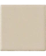 5x5 CANAPA