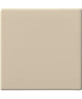 10x10 CANAPA