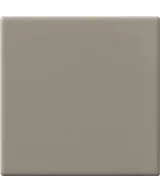 10x10 TORTORA
