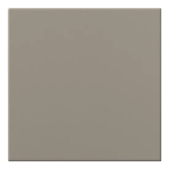 20x20 TORTORA
