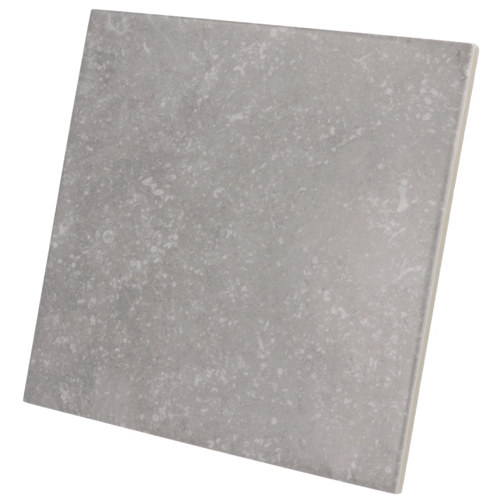 Coralstone Grey 20x20 cm - carrelage NAIS