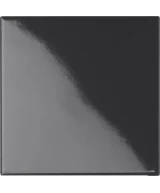 10x10 ARSENICO