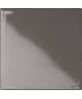 10x10 PIRITE