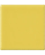 5x5 CEDRO