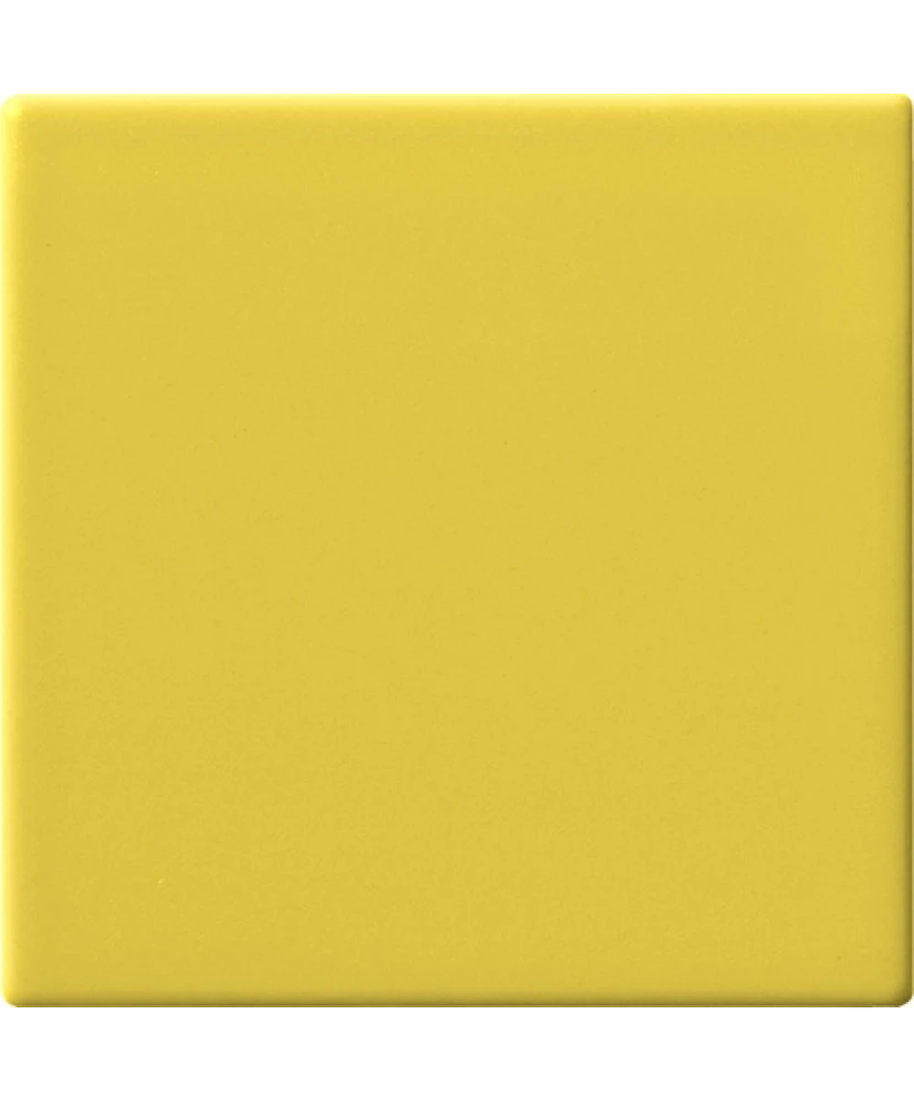 10x10 CEDRO - carrelage CESI