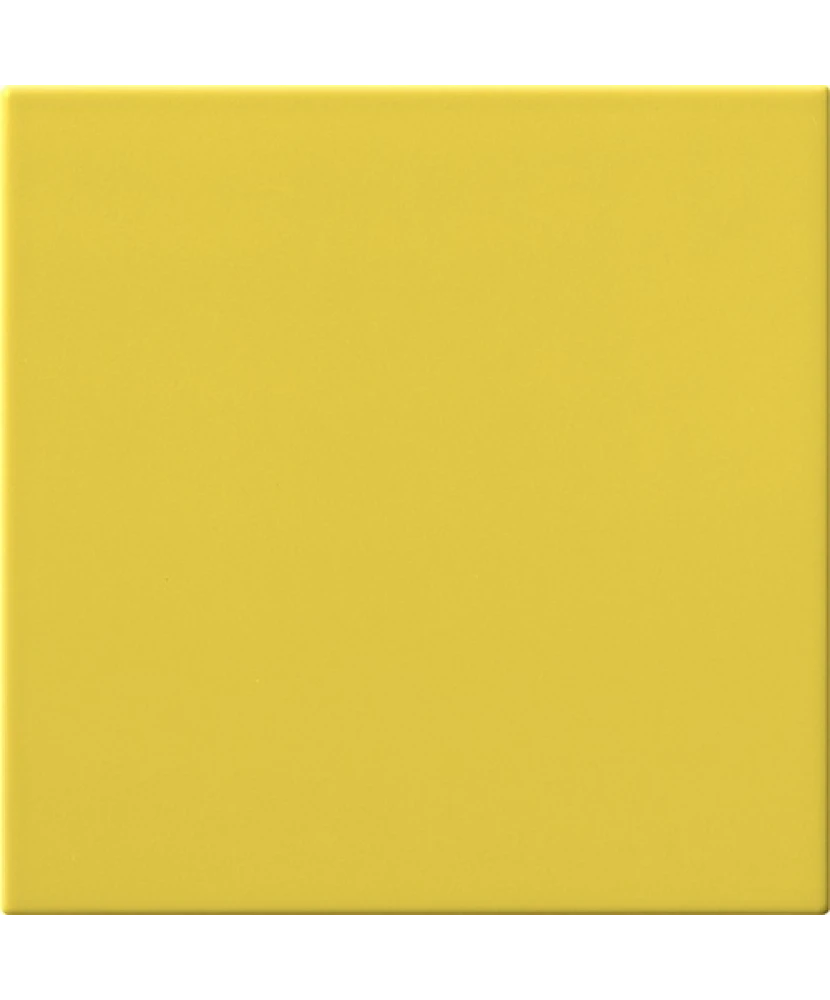 20x20 CEDRO - carrelage CESI