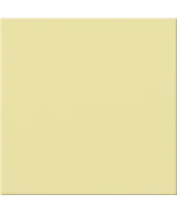 20x20 BANANA