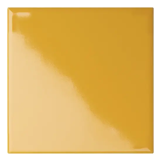 10x10 ZOLFO