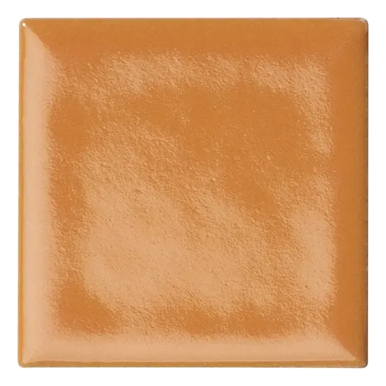 5x5 ARENARIA