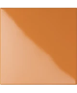 20x20 ARENARIA