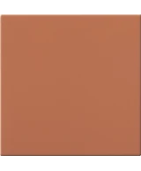 20x20 PAPRIKA