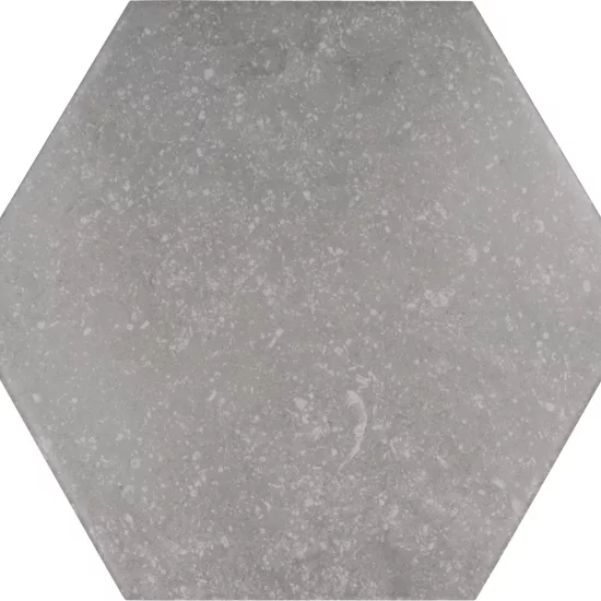 Carrelage Coralstone Hexagon Grey 29,2x25,4 cm - vue de face du carreau