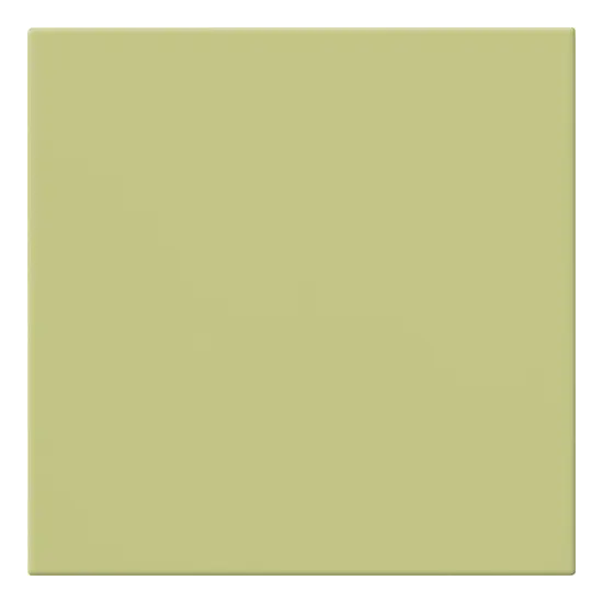 20x20 MELA